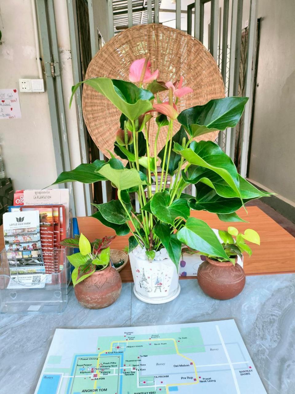 Davyta House Apartment Siem Reap Exterior foto